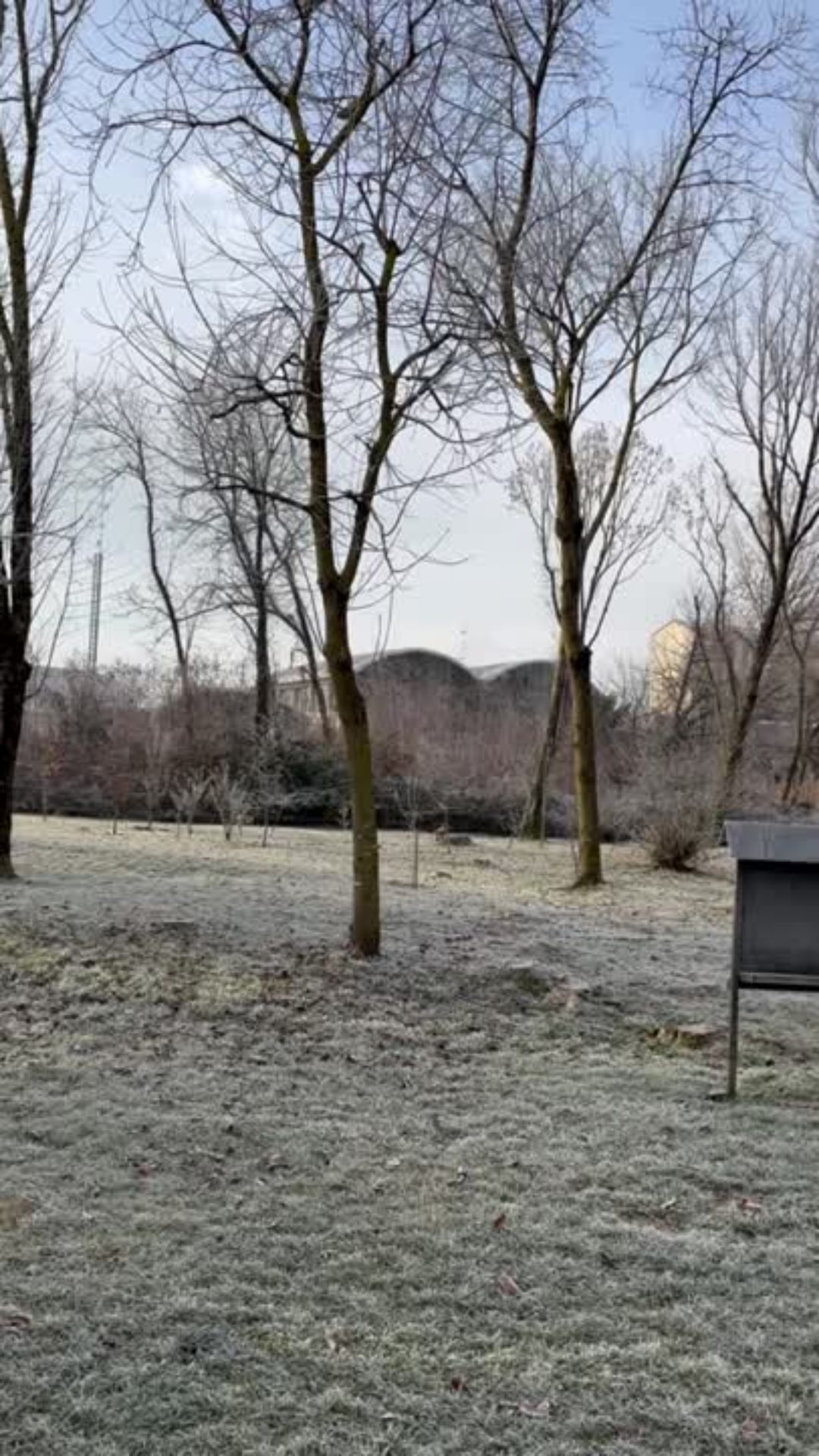 Senza titolo (La tua storia).jpg